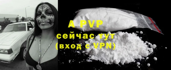 ешки Переславль-Залесский