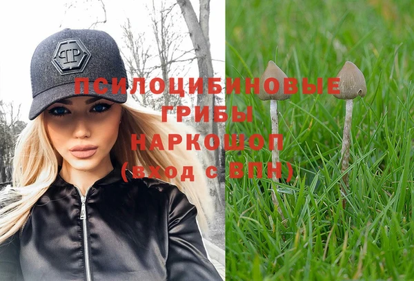 стаф Нягань