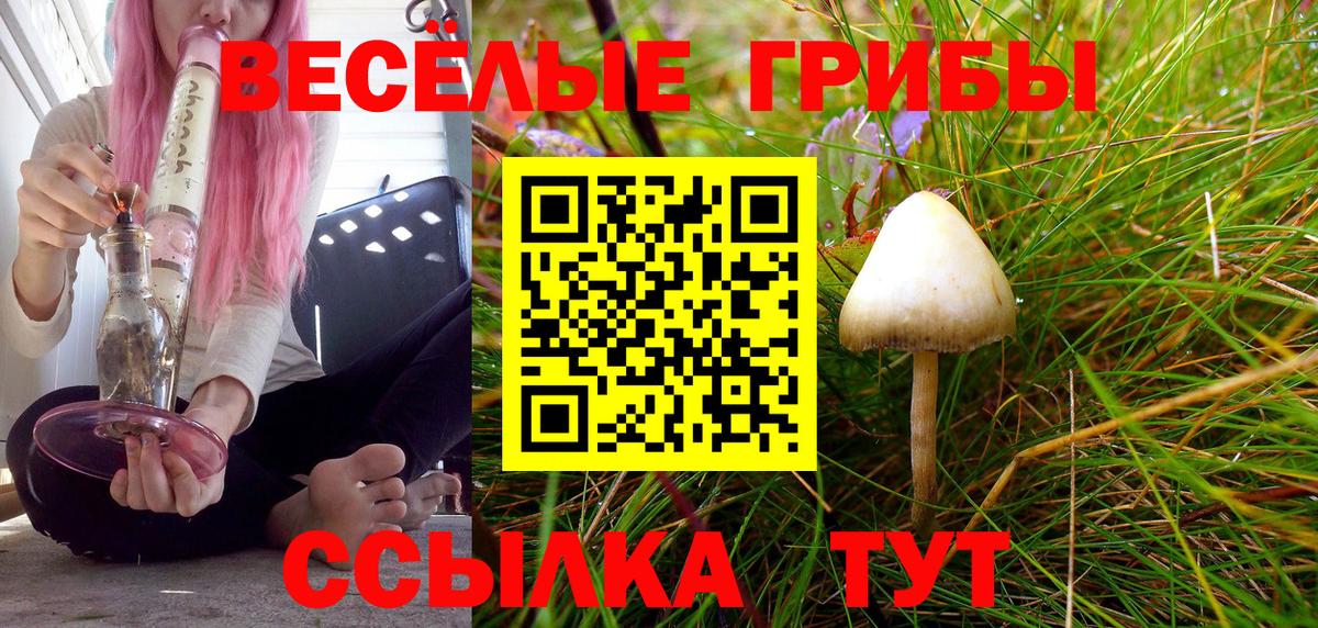 Галлюциногенные грибы мицелий  Галлюциногенные грибы GOLDEN TEACHER  Кольчугино  Вход с VPN 