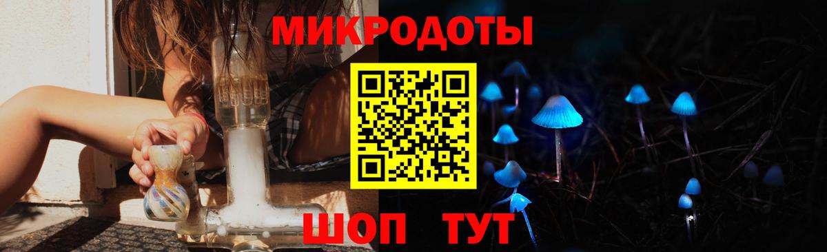 Псилоцибиновые грибы Psilocybe Кольчугино
